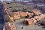 Petrified Forest NP & Painted Desert