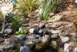 CEC57 CEC57