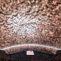 The Sphere Experience - V-U2 Concert Film