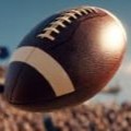 Match des Miami Dolphins - NFL