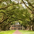 Visite guidée de Oak Alley Plantation