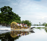 Swamp Tour dans le Sud-Est des USA
