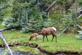 Photos/Images de La vie animale