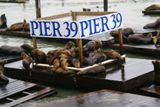 Photos/Images de La vie animale