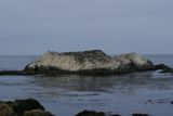 Bird Rock (Monterey, 17 miles Drive)