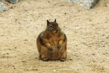 Photos/Images de La vie animale
