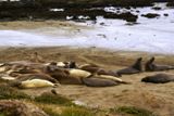 Photos/Images de La vie animale