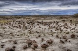 Ah-Shi-Sle-Pah Wilderness