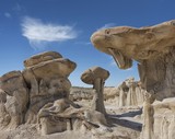 Giant Mushroom