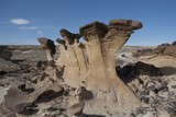 Photos/Images de Ah-Shi-Sle-Pah Wilderness