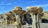Giant Mushroom
