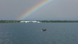 Croisière sur Wolf Bay