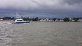 Croisière sur Wolf Bay