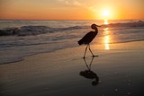 Photos/Images de Alabama Beaches