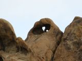 Heart Arch