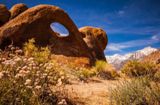 Arch Loop Trail