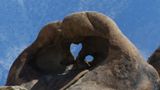Heart Arch