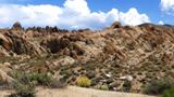 Arch Loop Trail