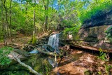 Laurel Falls