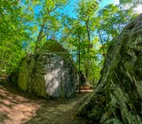 Laurel Falls & Lost Falls Loop