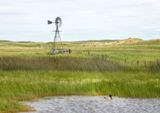Sandhills