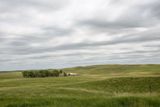 Sandhills