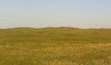 Sandhills