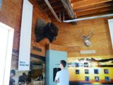 Visitor Center
