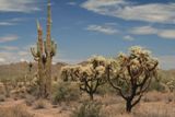 Fotos de Apache Trail Historic Road