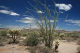 Lost Dutchman State Park