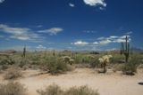Lost Dutchman State Park