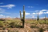 Lost Dutchman State Park