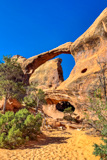 Double O Arch