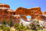 Tunnel Arch
