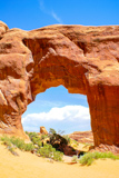 Pine Tree Arch