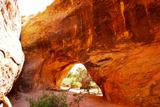 Navajo Arch