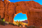 Pine Tree Arch