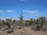 Lost Dutchman State Park