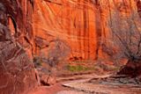 Buckskin Gulch