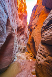 Buckskin Gulch
