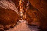Buckskin Gulch
