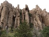 Organ Pipe Formation