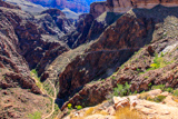 Bright Angel Trail