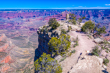 Shoshone Point