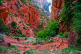 North Kaibab Trail
