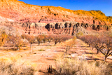 Lonely Dell Ranch