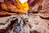 Cathedral Wash Trail