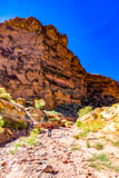 Cathedral Wash Trail