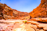 Cathedral Wash Trail