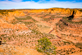 Betatakin Cliff Dwellings Tour